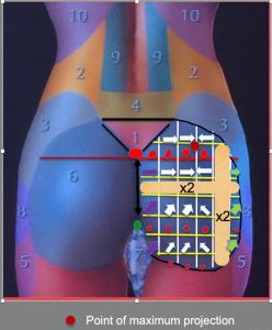 schema-feminization-butts